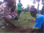Tree planting on World Environmental Day at Chakol Boys Primary